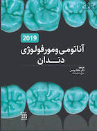 آناتومی و مورفولوژی دندان 2019 یونسی